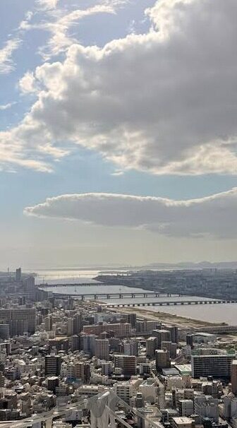 人妻av一区二区-人妻角色的多面性探索,一区与二区的情感交织